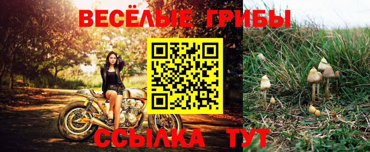Псилоцибиновые грибы мицелий Тобольск